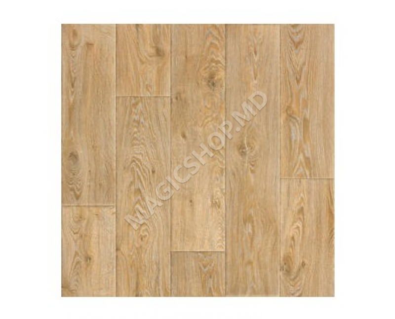 Linoleum Force Sorbona-2